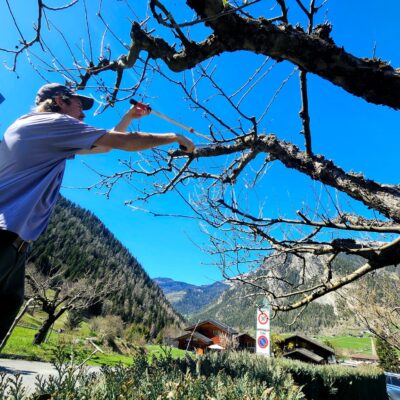 April jobs for your garden 🌱🏔️ You'd be forgiven for wondering what happened to spring.