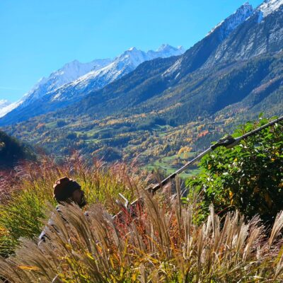We love these last golden days before winter arrives 🌟🍁. As the leaves fall and