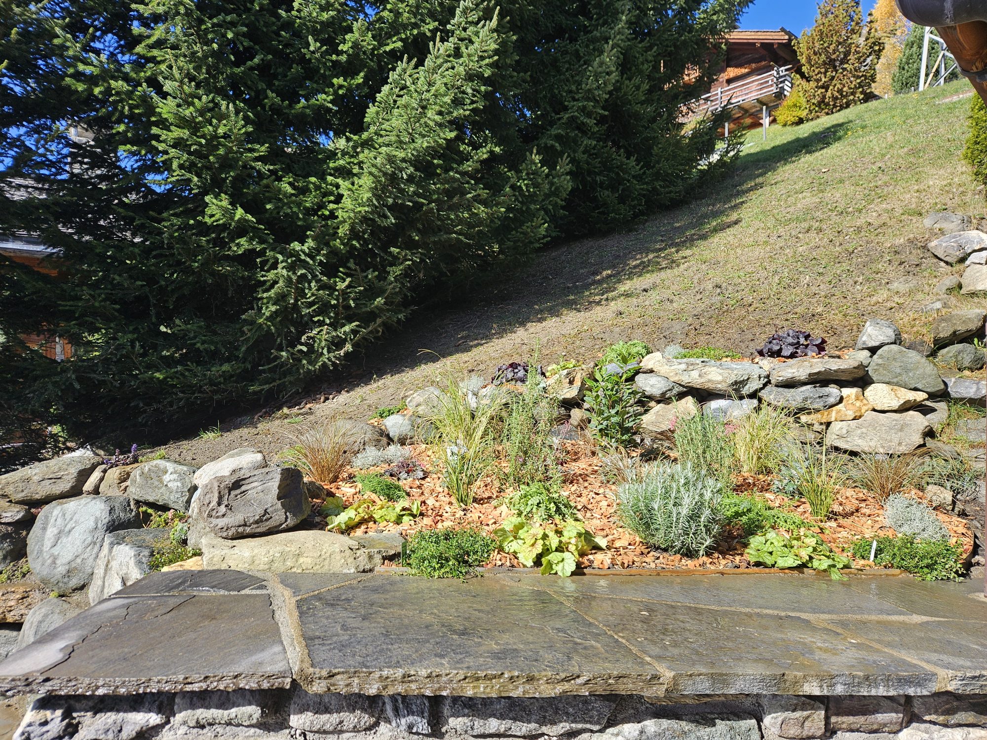 Terraced alpine rock garden